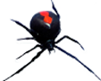 logo-favicon